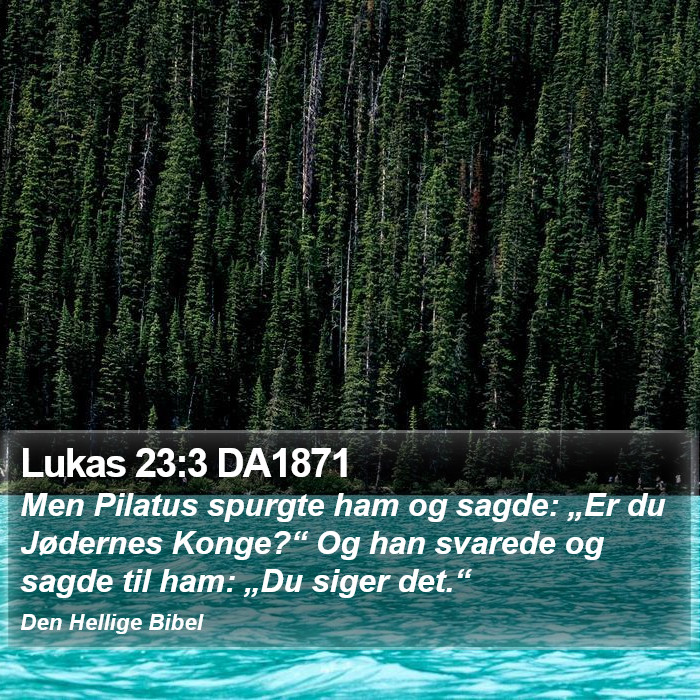 Lukas 23:3 DA1871 Bible Study