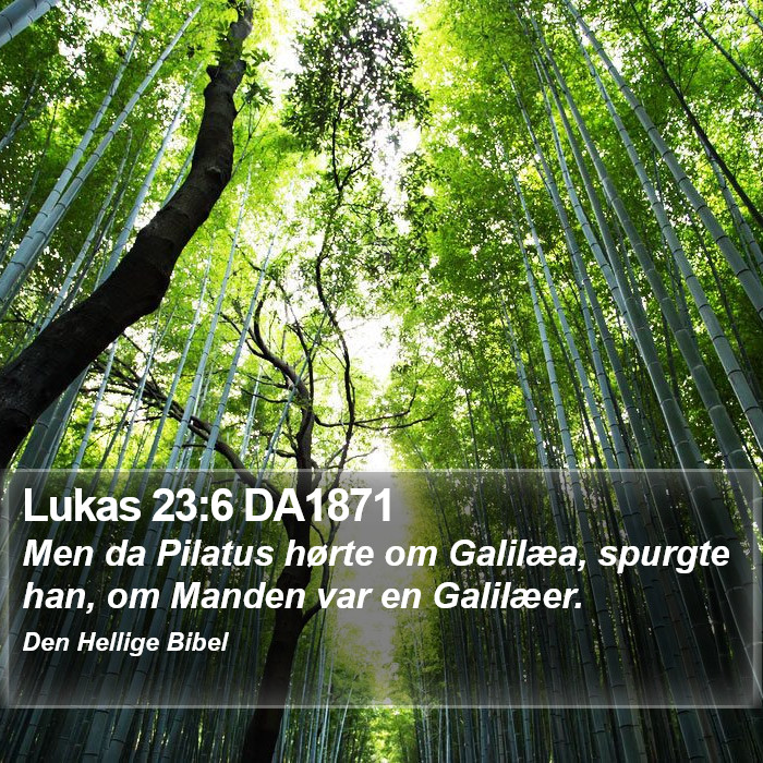 Lukas 23:6 DA1871 Bible Study