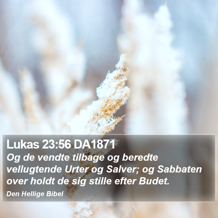 Lukas 23:56 DA1871 Bible Study