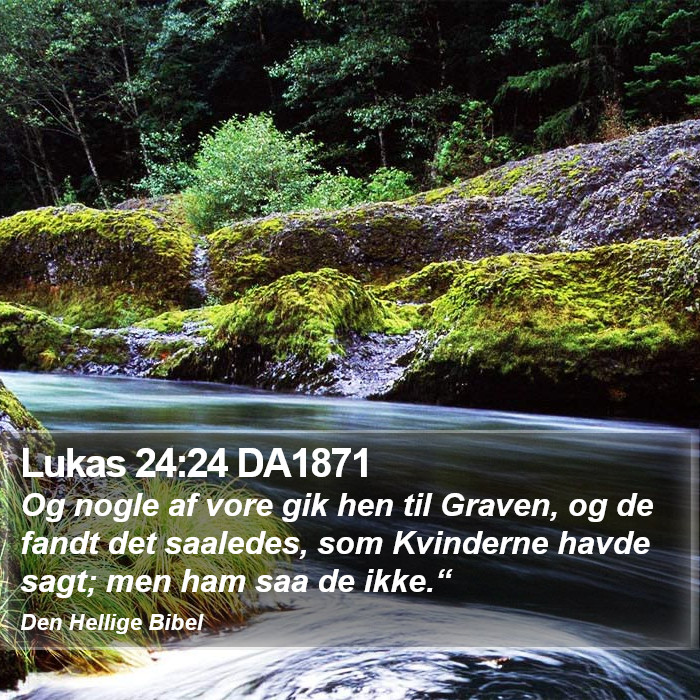 Lukas 24:24 DA1871 Bible Study