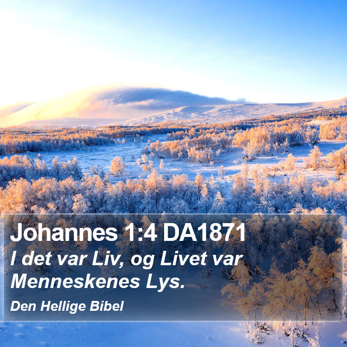 Johannes 1:4 DA1871 Bible Study