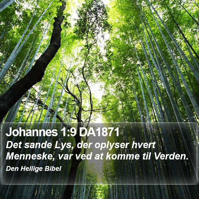 Johannes 1:9 DA1871 Bible Study