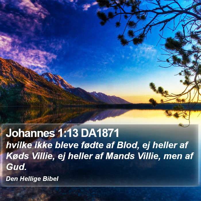 Johannes 1:13 DA1871 Bible Study