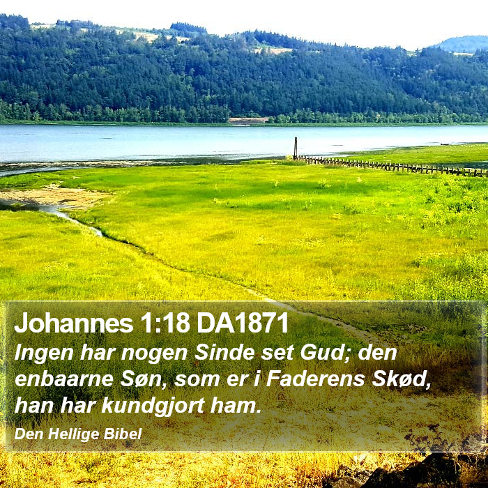 Johannes 1:18 DA1871 Bible Study