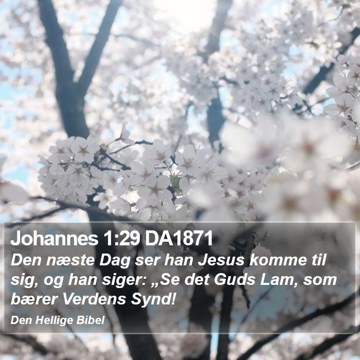 Johannes 1:29 DA1871 Bible Study