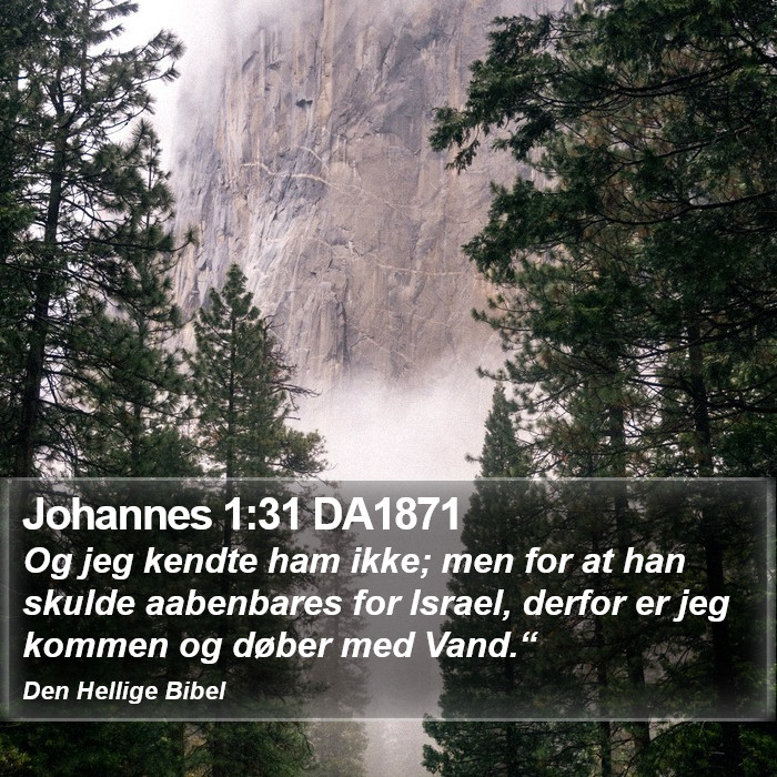 Johannes 1:31 DA1871 Bible Study