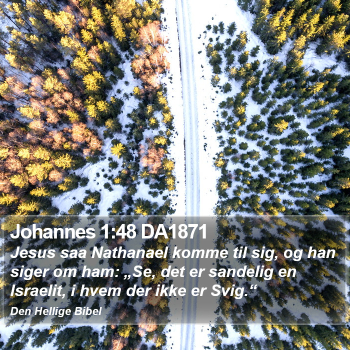 Johannes 1:48 DA1871 Bible Study