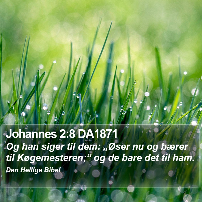 Johannes 2:8 DA1871 Bible Study