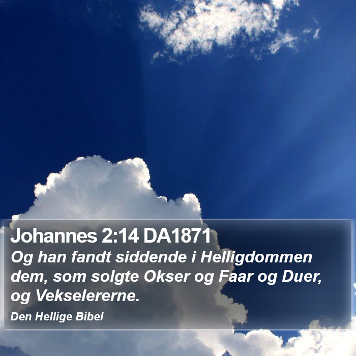 Johannes 2:14 DA1871 Bible Study