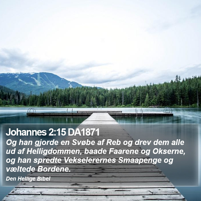 Johannes 2:15 DA1871 Bible Study