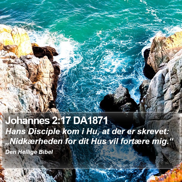 Johannes 2:17 DA1871 Bible Study