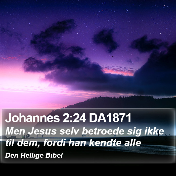 Johannes 2:24 DA1871 Bible Study
