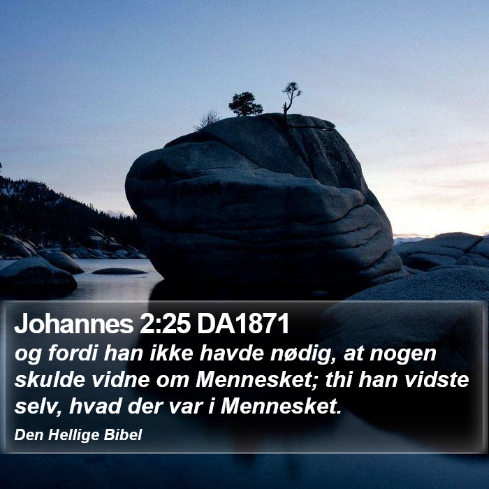 Johannes 2:25 DA1871 Bible Study