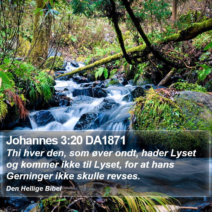 Johannes 3:20 DA1871 Bible Study