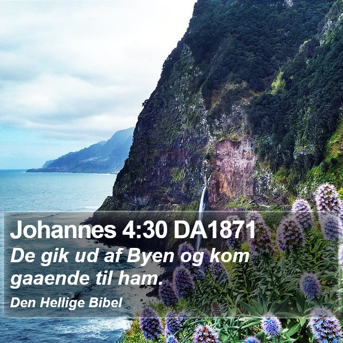 Johannes 4:30 DA1871 Bible Study
