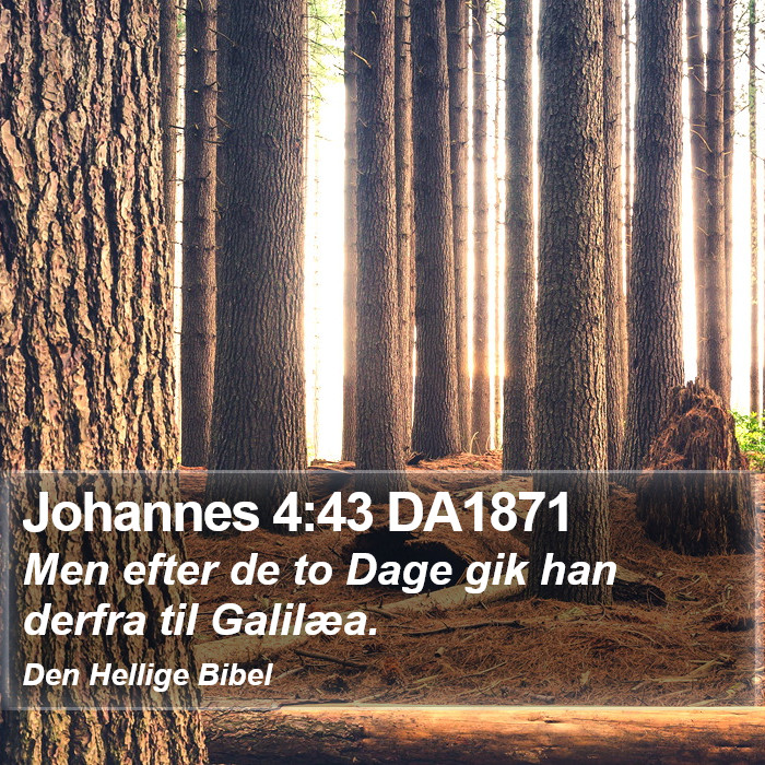 Johannes 4:43 DA1871 Bible Study
