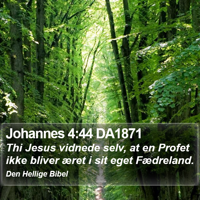 Johannes 4:44 DA1871 Bible Study
