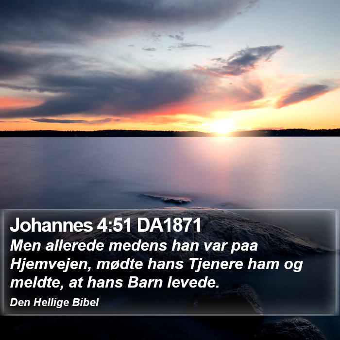 Johannes 4:51 DA1871 Bible Study