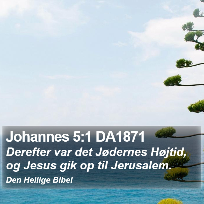 Johannes 5:1 DA1871 Bible Study