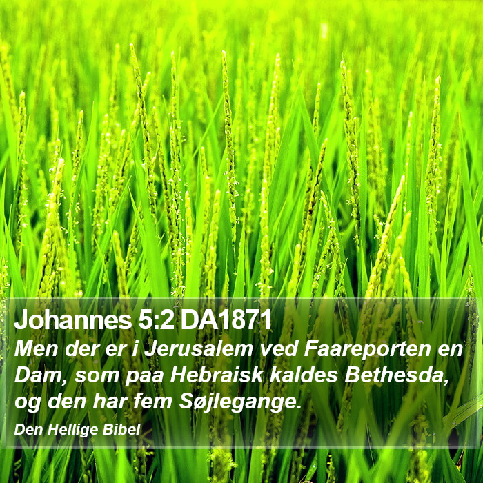 Johannes 5:2 DA1871 Bible Study