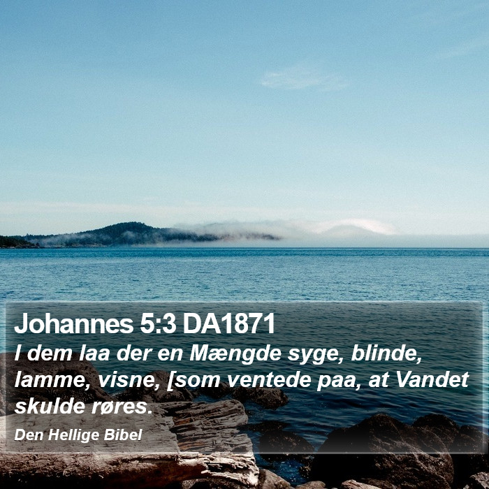 Johannes 5:3 DA1871 Bible Study