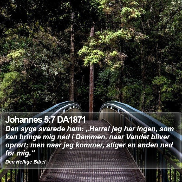 Johannes 5:7 DA1871 Bible Study