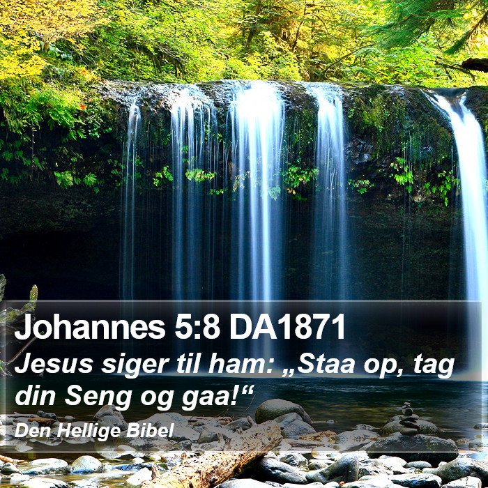 Johannes 5:8 DA1871 Bible Study