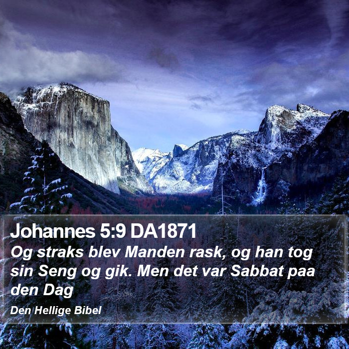 Johannes 5:9 DA1871 Bible Study