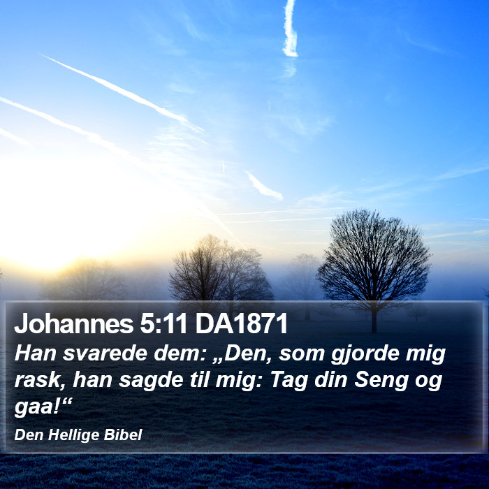 Johannes 5:11 DA1871 Bible Study