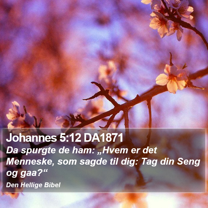 Johannes 5:12 DA1871 Bible Study