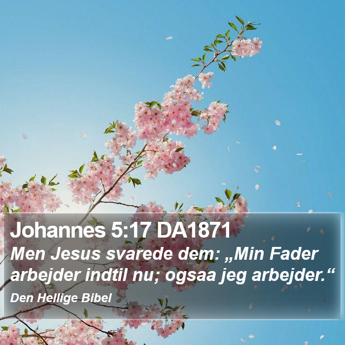 Johannes 5:17 DA1871 Bible Study