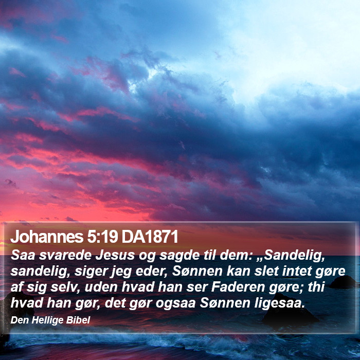 Johannes 5:19 DA1871 Bible Study