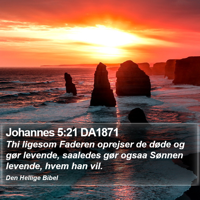 Johannes 5:21 DA1871 Bible Study