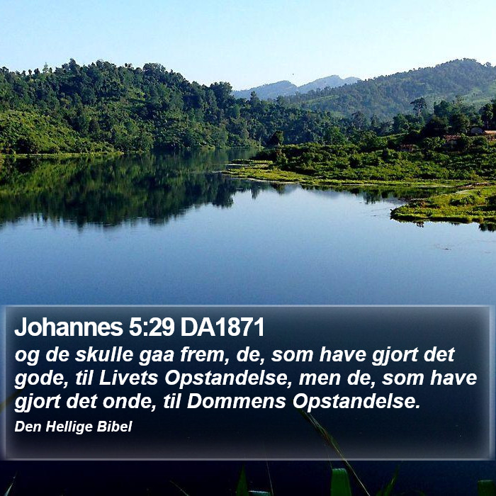 Johannes 5:29 DA1871 Bible Study