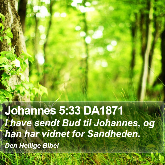 Johannes 5:33 DA1871 Bible Study