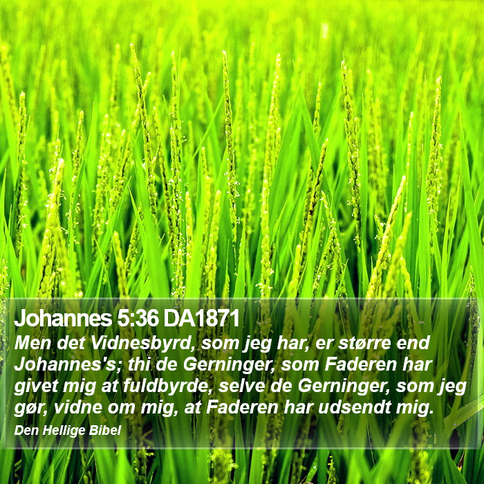 Johannes 5:36 DA1871 Bible Study