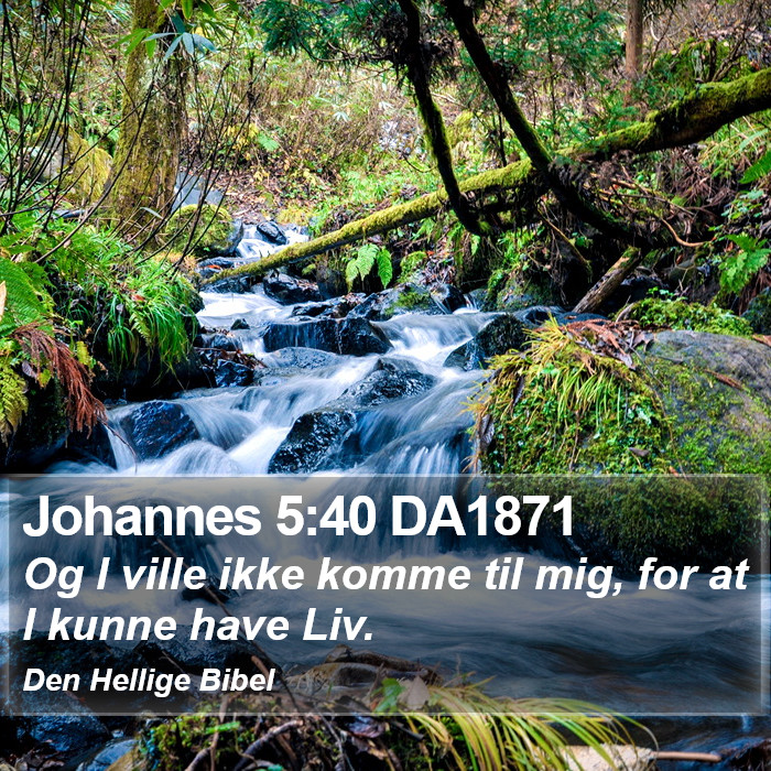 Johannes 5:40 DA1871 Bible Study