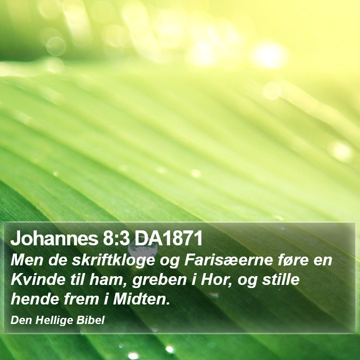Johannes 8:3 DA1871 Bible Study