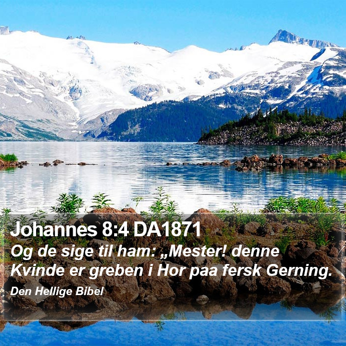 Johannes 8:4 DA1871 Bible Study