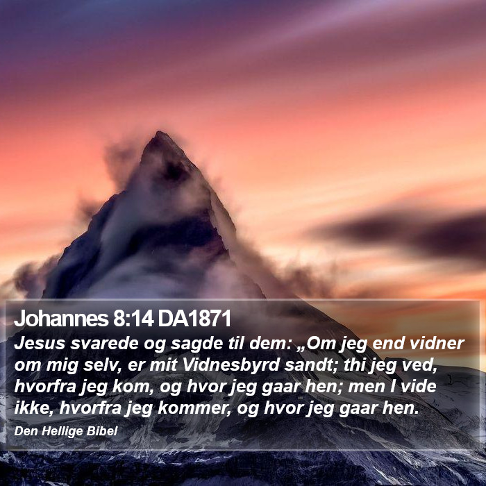 Johannes 8:14 DA1871 Bible Study