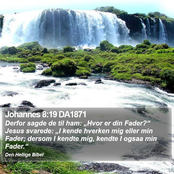 Johannes 8:19 DA1871 Bible Study