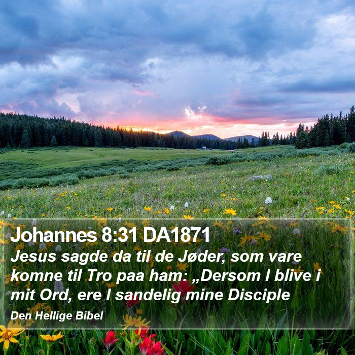 Johannes 8:31 DA1871 Bible Study