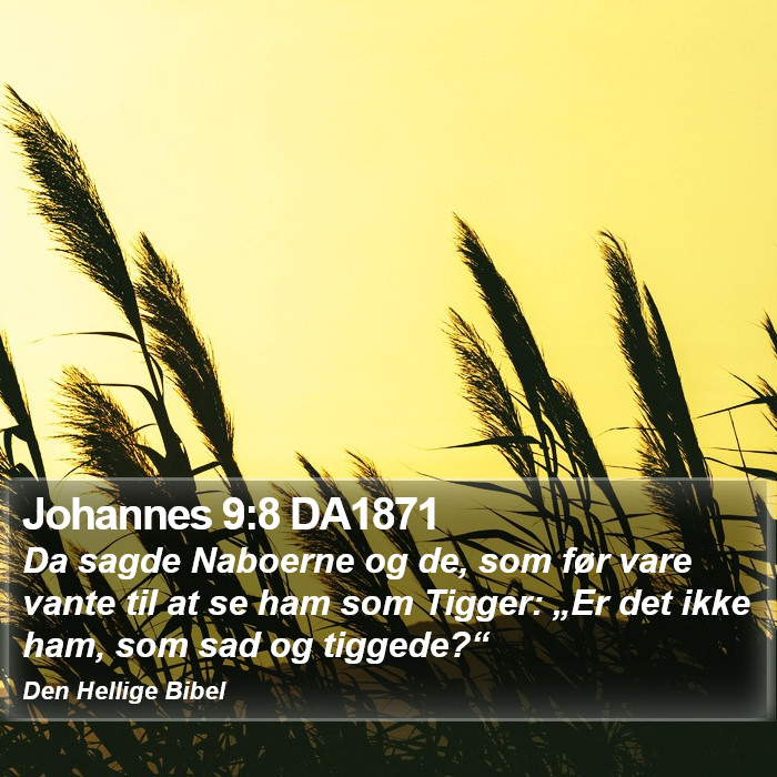 Johannes 9:8 DA1871 Bible Study