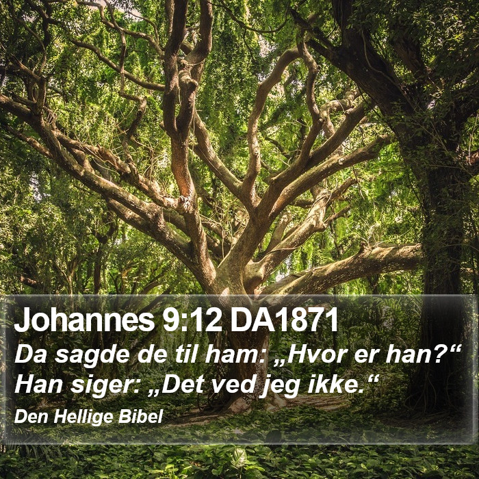 Johannes 9:12 DA1871 Bible Study