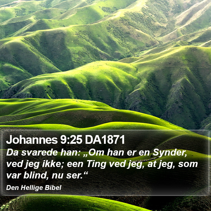 Johannes 9:25 DA1871 Bible Study