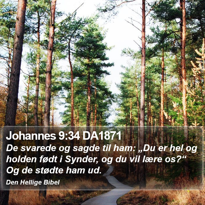 Johannes 9:34 DA1871 Bible Study