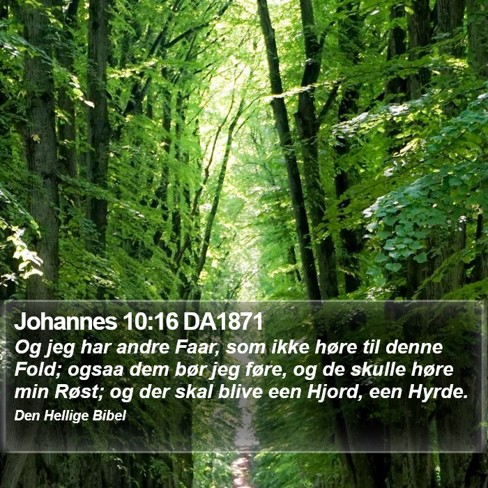 Johannes 10:16 DA1871 Bible Study