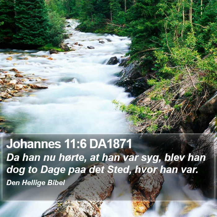 Johannes 11:6 DA1871 Bible Study