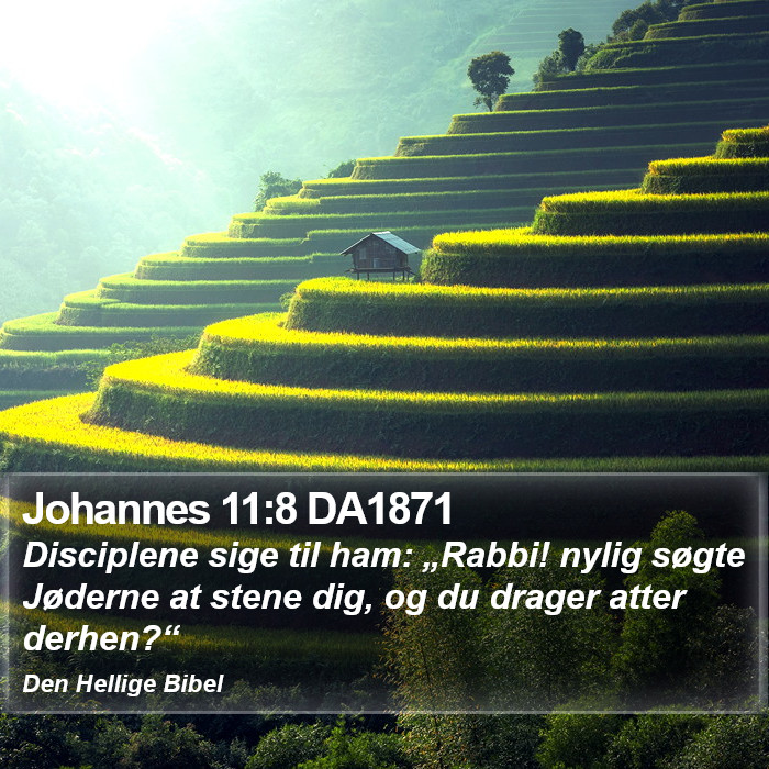 Johannes 11:8 DA1871 Bible Study