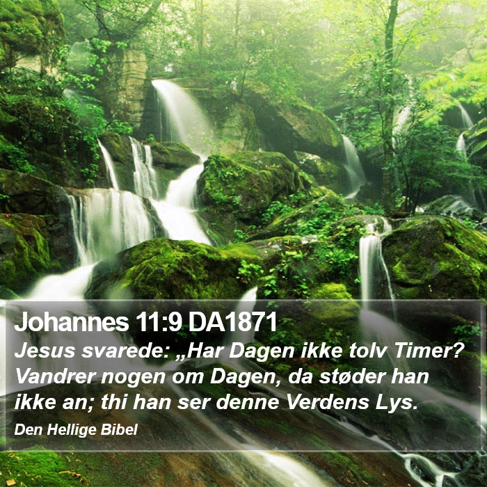 Johannes 11:9 DA1871 Bible Study
